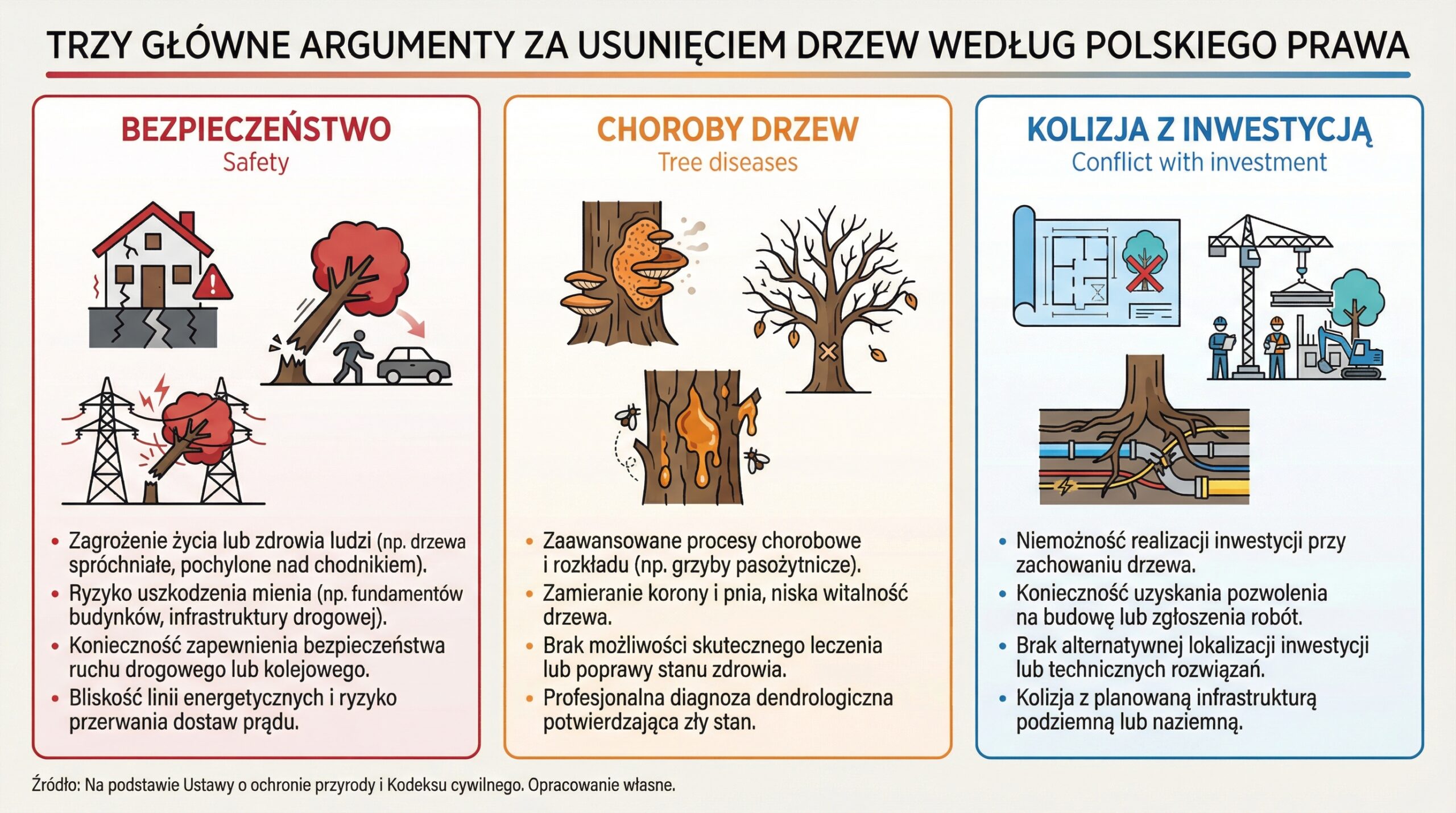 argumenty-wycinki-drzew-infografika.png
