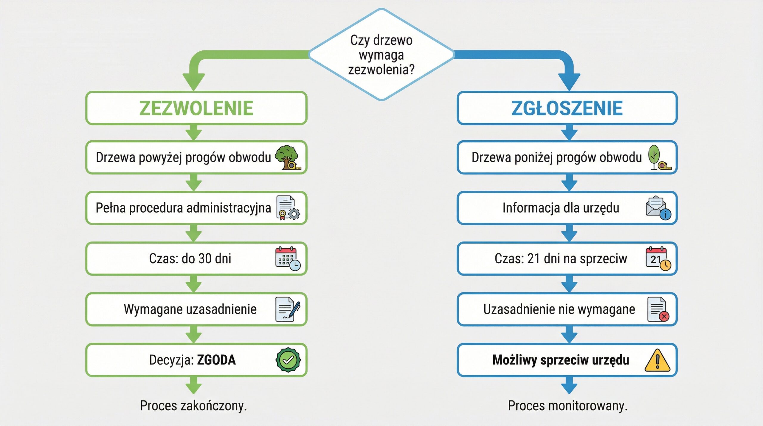 proces-zezwolenie-zgloszenie-drzewa.png