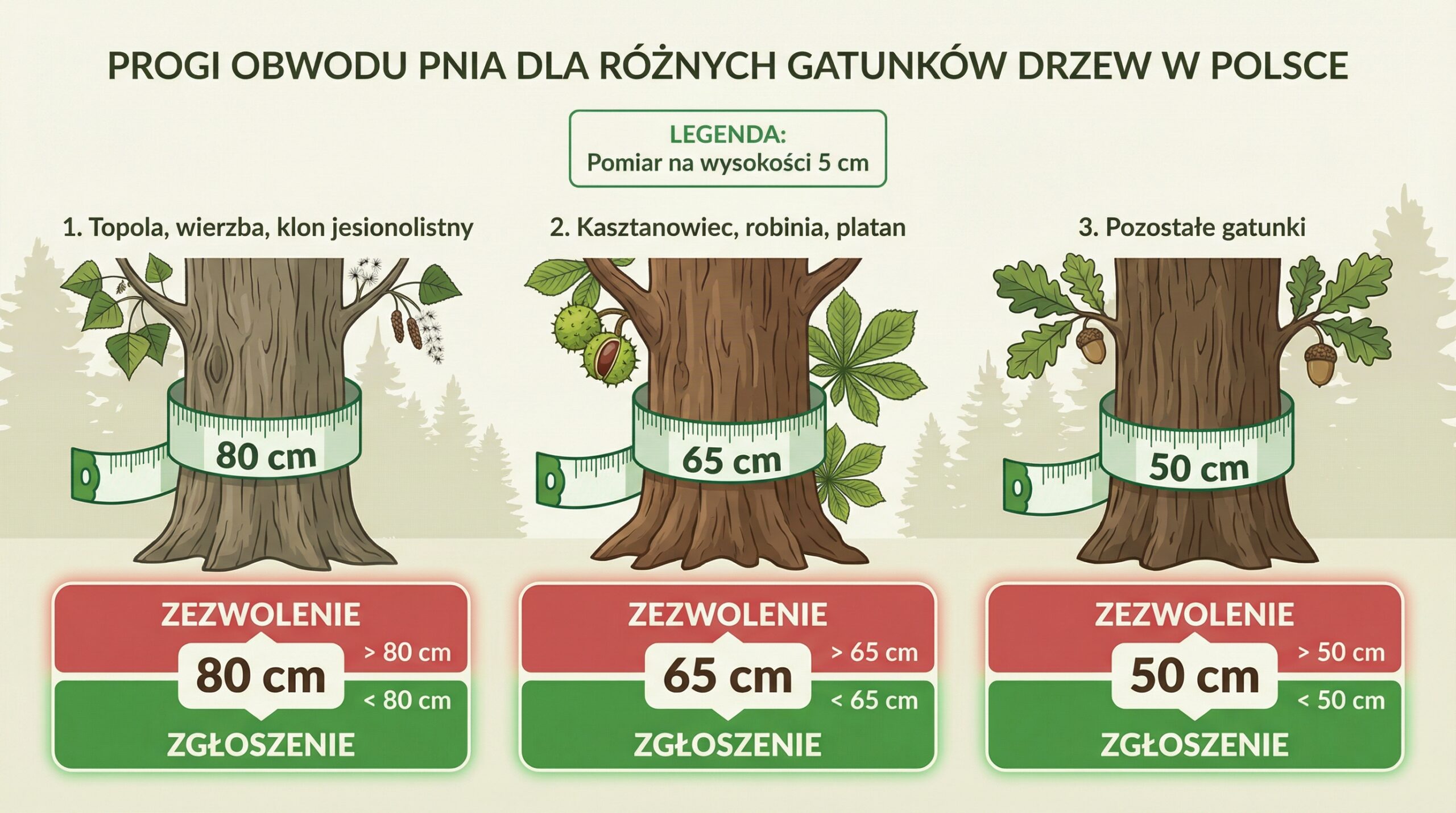 progi-obwodowe-drzew-infografika.png
